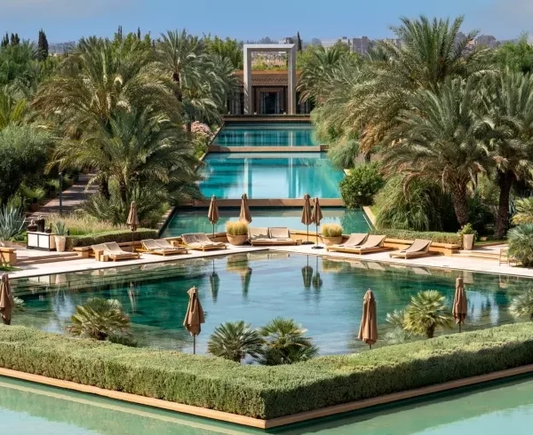 A serene pool surrounded by lush palm trees, set within a luxurious resort in Marrakech.