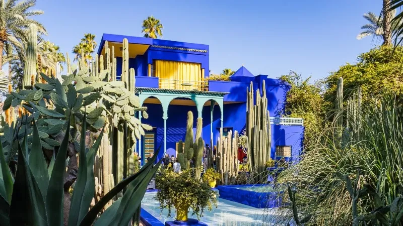 Jardin Majorelle Vibrant blue villa surrounded by tall cacti and lush greenery under a clear sky. Bright yellow curtains adorn the windows, creating a lively contrast.