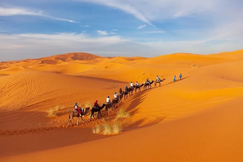 Tourists on camels traverse the vast desert, enjoying a scenic adventure in Marrakech's desert tours.