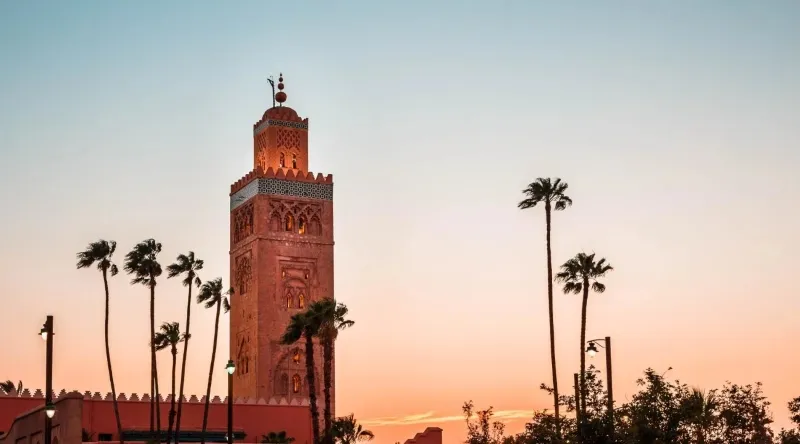 Sunset over palm trees and a tall clock tower, creating a serene atmosphere for the local guide program.