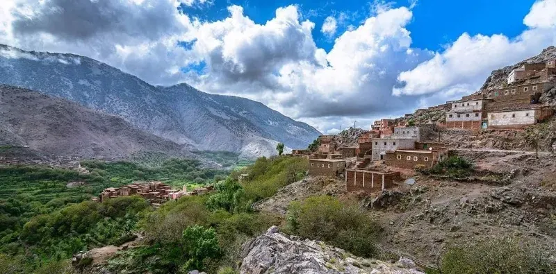 Lush green palm groves and almond blossoms in Dades Valley during spring desert travel