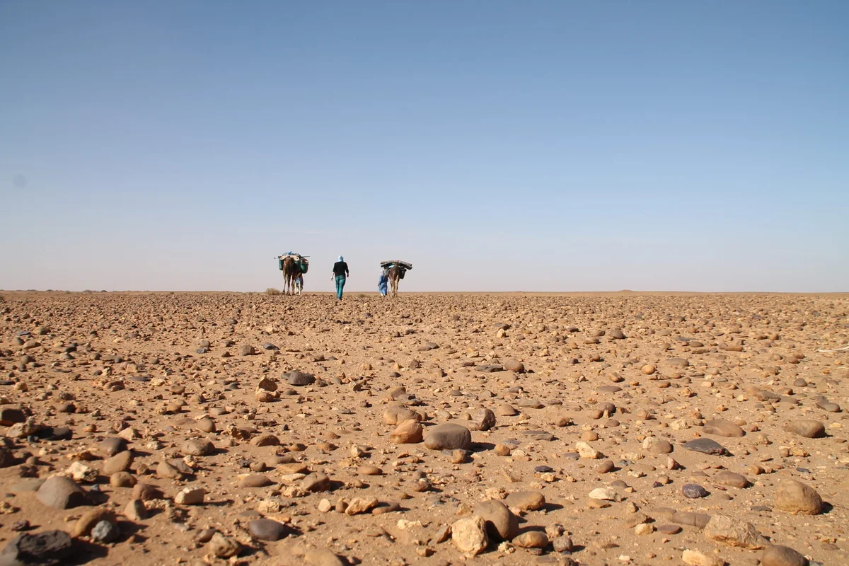 3-Day New Year's Eve in Erg Chegaga Desert Under the Stars - Authentic Wild Sahara Golden Sand Dunes